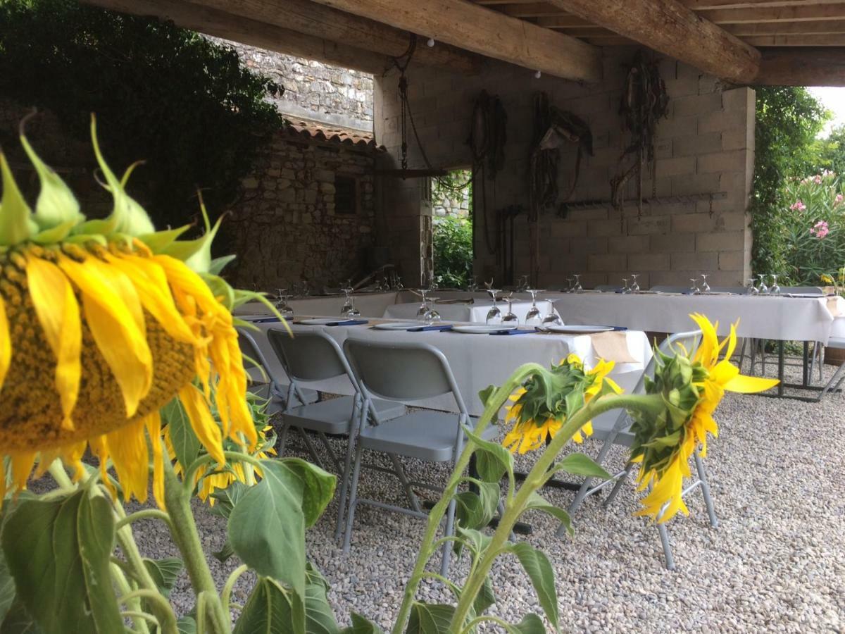 Le Coing Des Vignes Panzió Mauressargues Kültér fotó